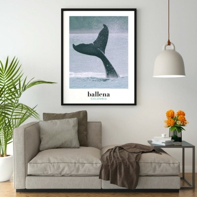Photo de baleine à bosse, côte pacifique de Colombie, affiche à encadrer pour décorer la maison