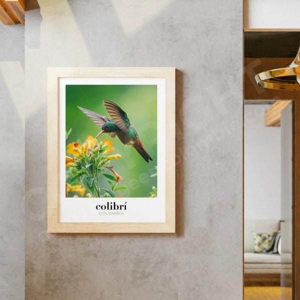 Photo de colibri, oiseaux de Colombie, affiche à encadrer pour décorer la maison