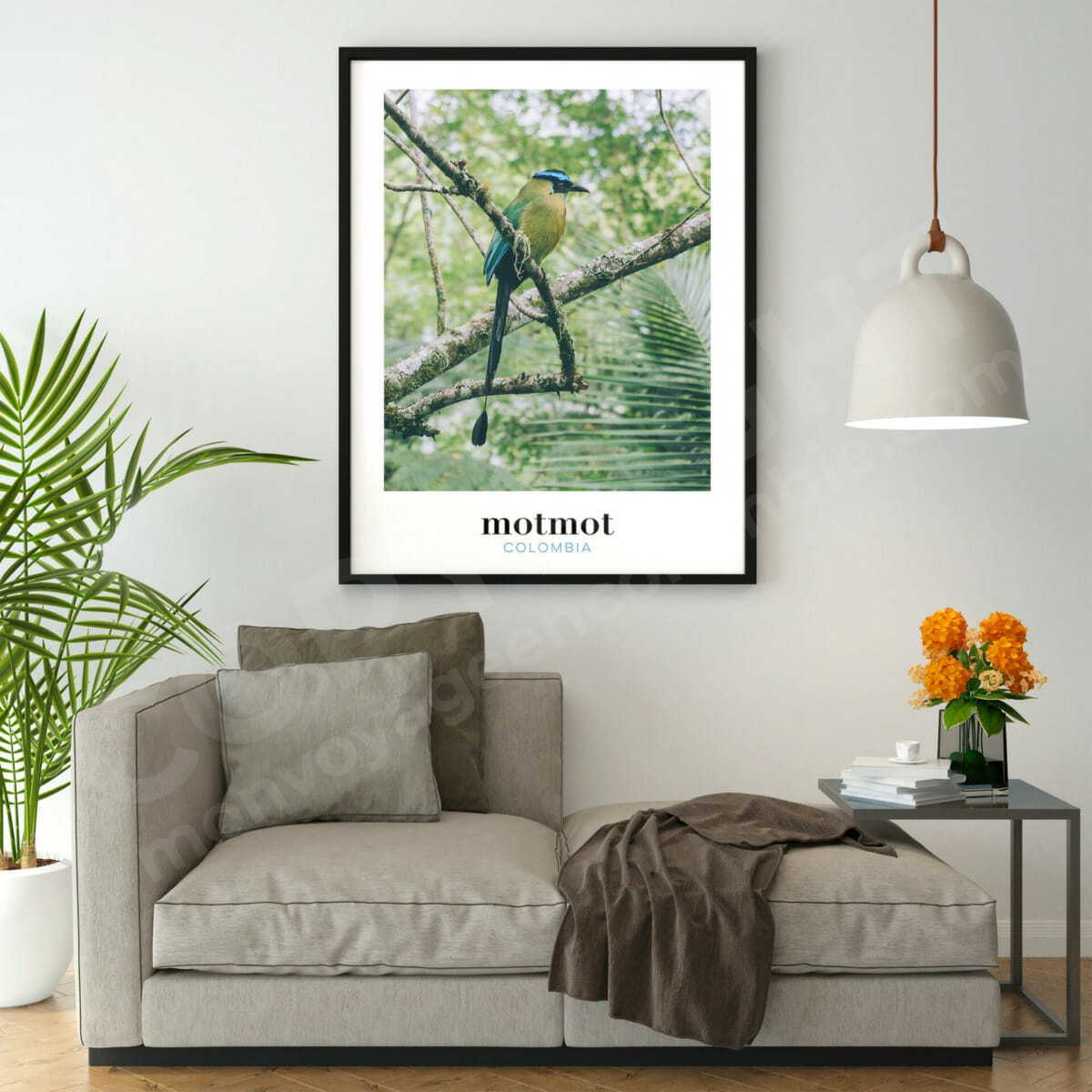 Photo de Motmot, oiseau de Colombie, affiche à encadrer pour décorer la maison