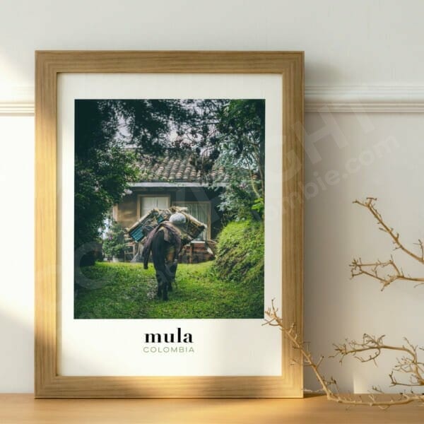 Photo de Mula, souvenir de Colombie, affiche à encadrer pour décorer la maison