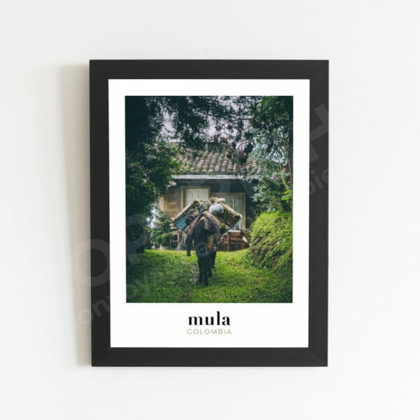 Photo de Mula, souvenir de Colombie, affiche à encadrer pour décorer la maison